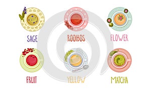 Different Tea Types Poured in Cups and Standing on Saucer Vector Set