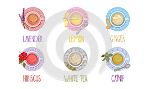 Different Tea Types Poured in Cups and Standing on Saucer Vector Set