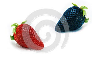 Different than the rest alone blue strawberry.Concept for genetically modified food