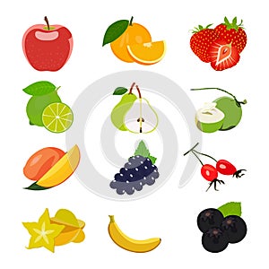 Different type of fruit vector illustrations