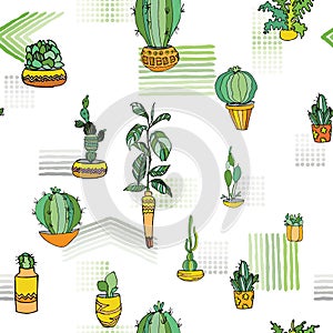 Different type indoor plants in cute flowerpots with traditional ornament. Seamless pattern. Vector illustration.