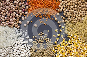 Different type of raw dry legumes composition
