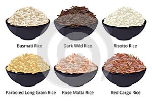 Different type of rice. Long grain, brown, white and other. Vector illustrations in cartoon style