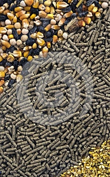 Different types of animal feed for background