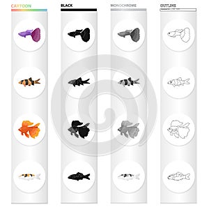 Different types of aquarium and marine fish, guppies, gold. A fish set collection icons in cartoon black monochrome
