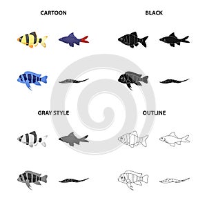 Different types of aquarium and sea fish, barbeque, stingray. A fish set collection icons in cartoon black monochrome