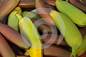 Different types of bananas as background