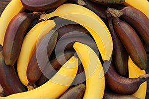 Different types of bananas as background, top view
