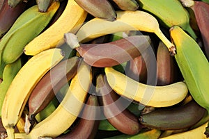 Different types of bananas as background, top view