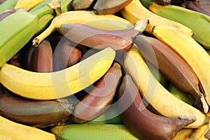 Different types of bananas as background, top view