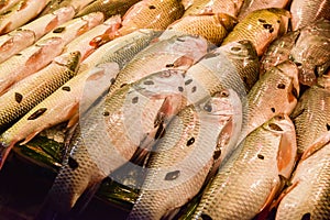 different types of Bangladeshi fish including tilapia