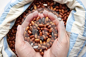 Different types of beans, brown, black, spotted in the hands of a woman