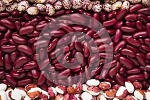 Different types of beans - kidney, variegated beans, anasazi, background. Leguminous photo