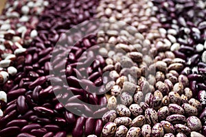 Different types of beans - kidney, variegated beans, anasazi, background. Leguminous, red, white, beige and black beans