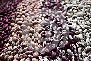 Different types of beans - kidney, variegated beans, anasazi, background. Leguminous, red, white, beige and black beans