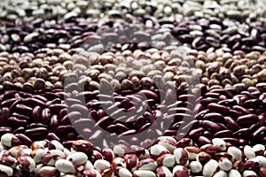 Different types of beans - kidney, variegated beans, anasazi, background. Leguminous, red, white, beige and black beans