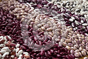 Different types of beans - kidney, variegated beans, anasazi, background. Leguminous, red, white, beige and black beans photo