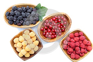 Different types of berries