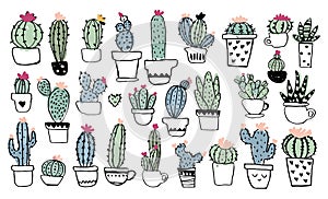 Different types of cacti in pots. Cute drawings of blooming succulents, doodle illustration. Flat vector illustration