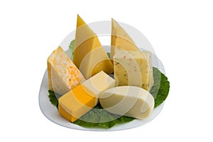 Different types of cheese