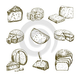 Different types of cheese. Set of vector sketches on white photo