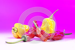 Different types of chili.