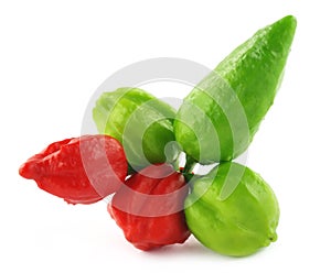 Different types of chilies