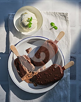 Different types of chocolate and vanilla ice cream on a stick in a plate