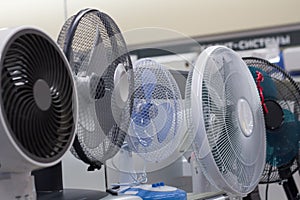 Different types of fan are on the shelf in the supermarket.