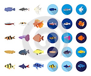Different types of fish cartoon,flat icons in set collection for design. Marine and aquarium fish vector symbol stock