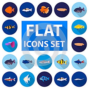 Different types of fish flat icons in set collection for design. Marine and aquarium fish vector symbol stock web