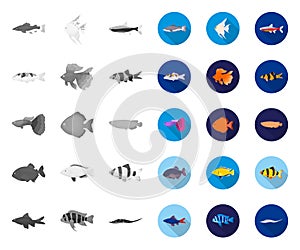 Different types of fish mono,flat icons in set collection for design. Marine and aquarium fish vector symbol stock web