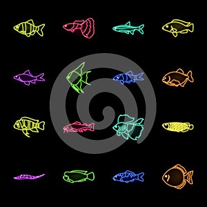 Different types of fish neon icons in set collection for design. Marine and aquarium fish vector symbol stock web