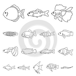 Different types of fish outline icons in set collection for design. Marine and aquarium fish vector symbol stock web