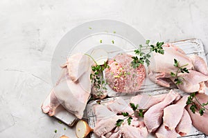 Different types of fresh chicken meat