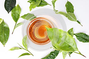different types of fresh raw green tea leaf flower bud dropping floating elevated over transparent glass teacup saucer liquid tea