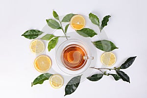 Different types of fresh raw green tea leaf flower bud lemon orange slice transparent glass teacup saucer liquid tea on white