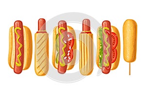 Different types hotdog and corndog. Icon isolated on white