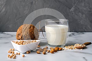 Different types ingredients of non-dairy milk and glass of milk. Organic substitute, alternative lactose free milk type for vegan