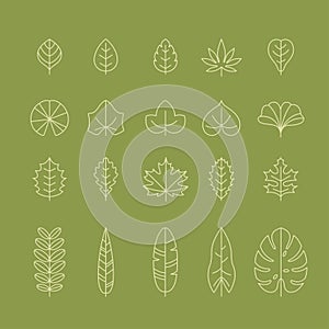 Different types of leaf outline icon set. Foliage thin simple outline