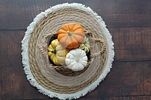 Different types of mini pumpkins wooden background