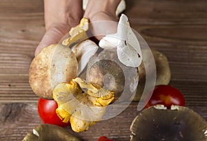 Different types of mushrooms with vegetables