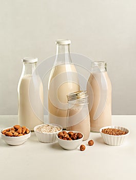 Different types of non-dairy milk in bottles, ingredients