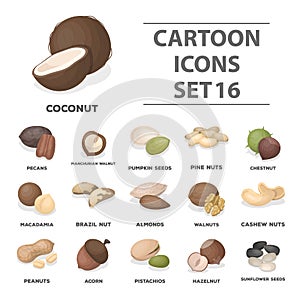 Different types of nuts set collection icons in cartoon style