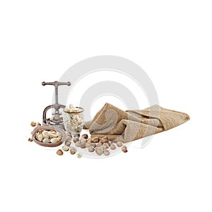 different types of nuts on a white surface, 3d rendering