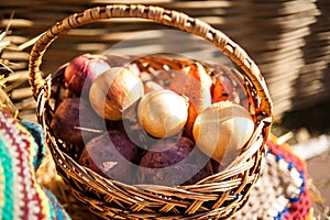 Different types of onions in a wicker basket. Autumn Harvest