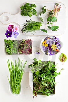 Different types of organic microgreens sprouts and edible flowers. Vegetarian, clean and healthy eating concept. Seed germination