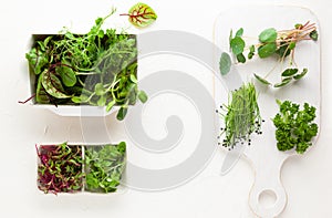 Different types of organic microgreens sprouts. Vegetarian, clean and healthy eating concept. Seed germination at home