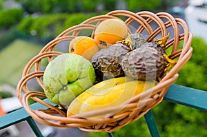 Different types of passion fruits, Madeira, Portugal