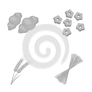 Different types of pasta. Types of pasta set collection icons in monochrome style vector symbol stock illustration web.